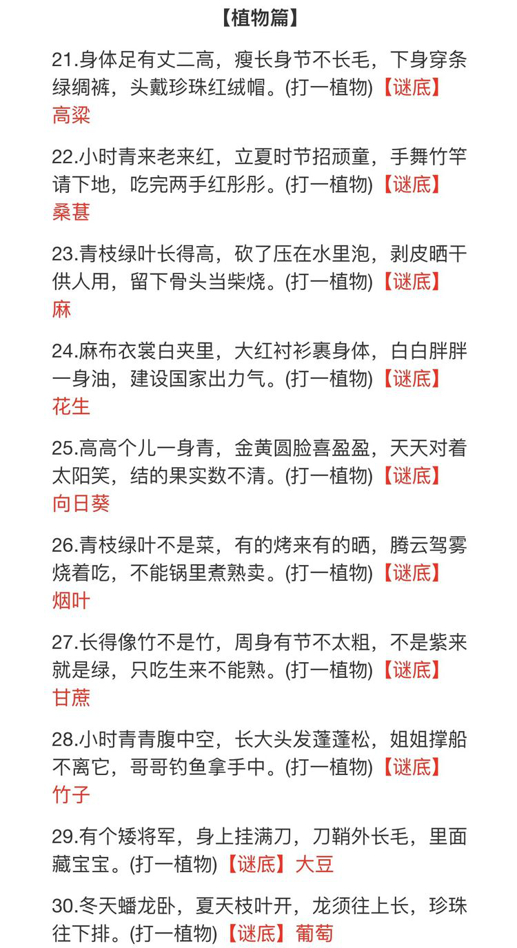 图片19.png